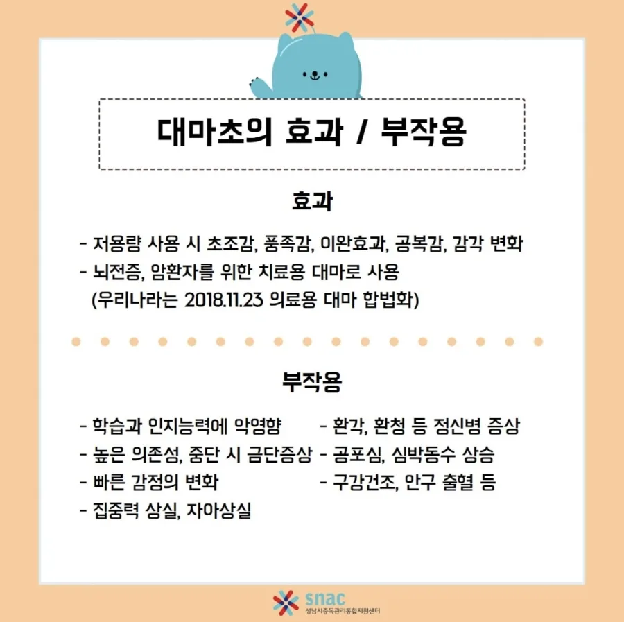 대마초 미국 주식 급등 이유 2026: 트럼프 정책 변화 분석 3