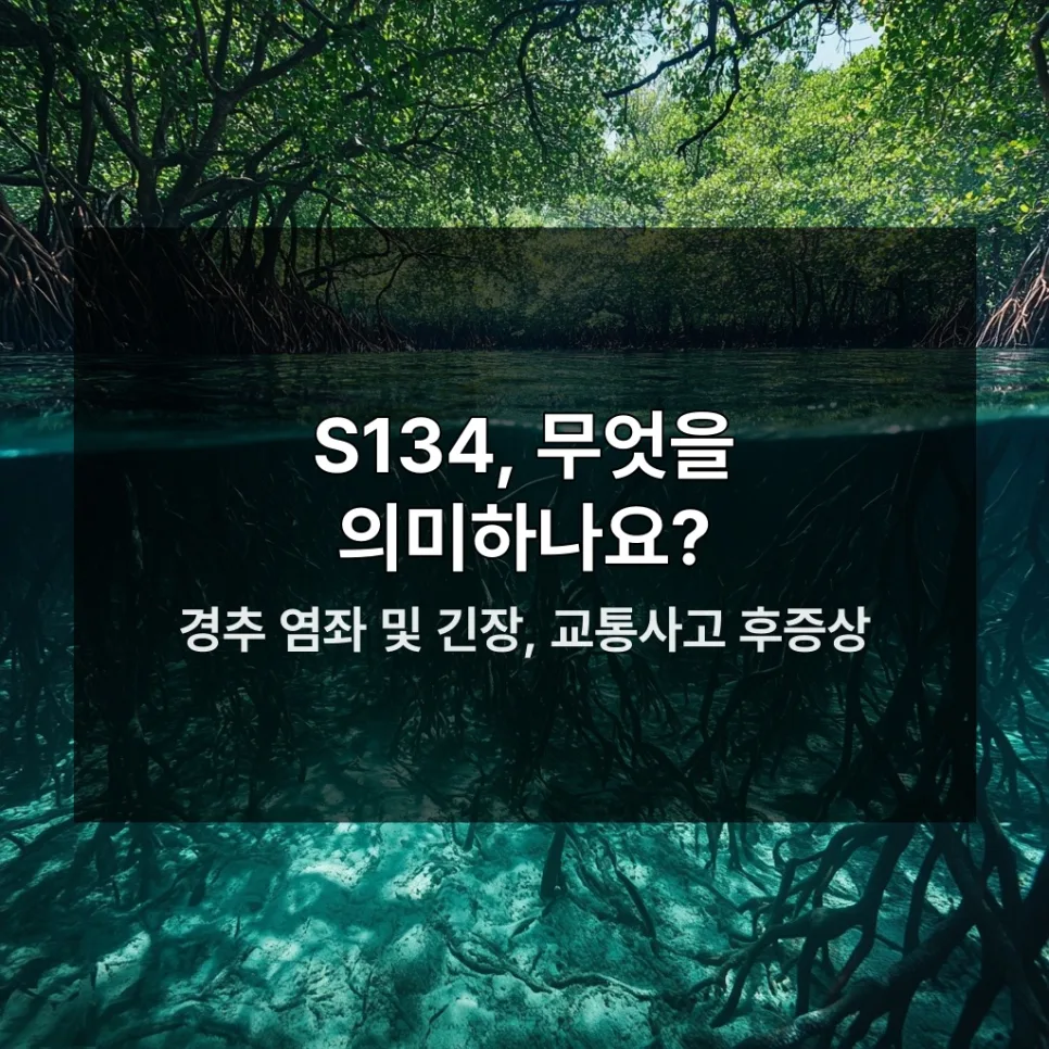 S134 경추 염좌 보험 청구 3단계 완벽 가이드 2026