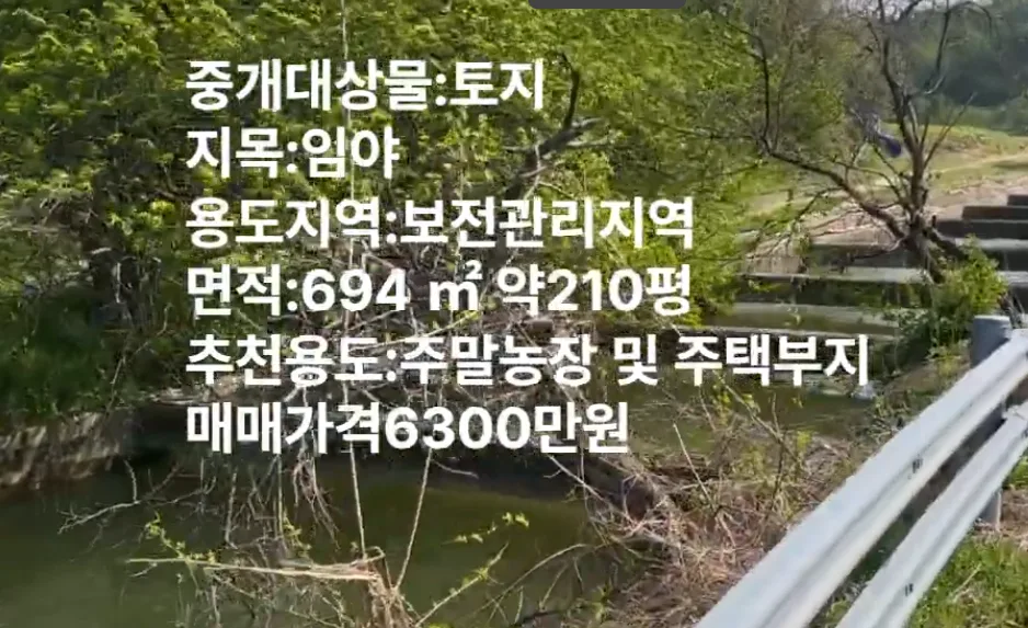 여주 소액 토지 투자 2026: 6천만원대 임야 매력 분석 2