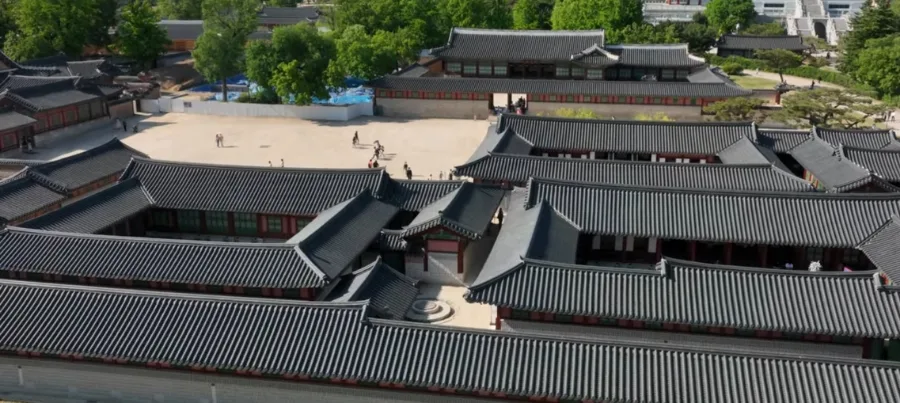 중종 시대 개혁 실패 원인: 조광조 숙청과 왕의 리더십 분석 2026 — 일상·에세이 — rlarkdbf12