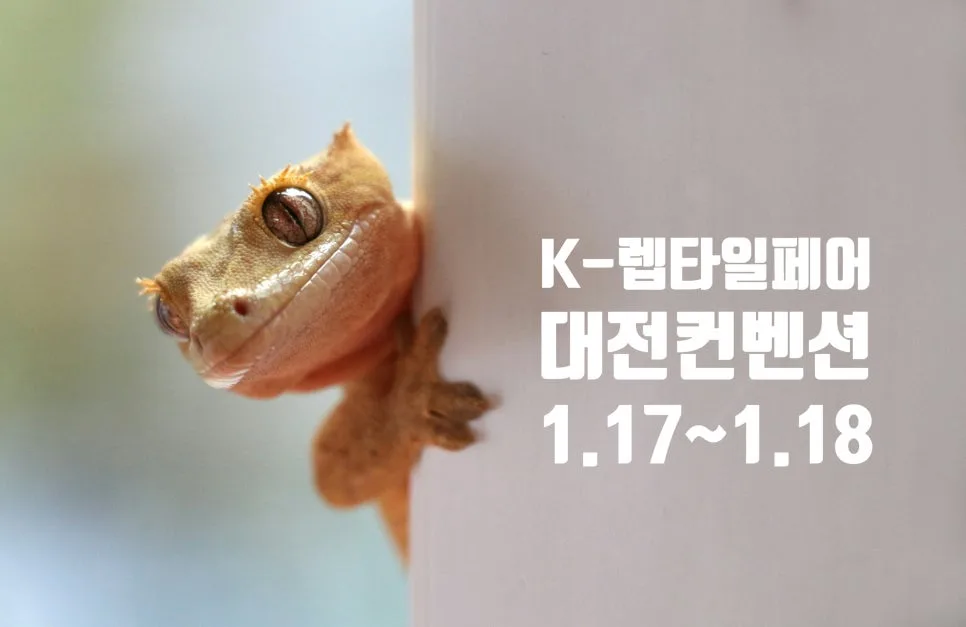 2026 대전 렙타일페어: 입장료, 주차, 이벤트 완벽 분석 — 취미 — slowpet365