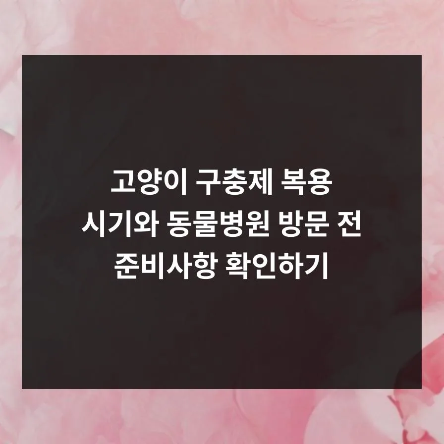 2026년 고양이 구충제 복용 주기와 동물병원 준비 꿀팁 2