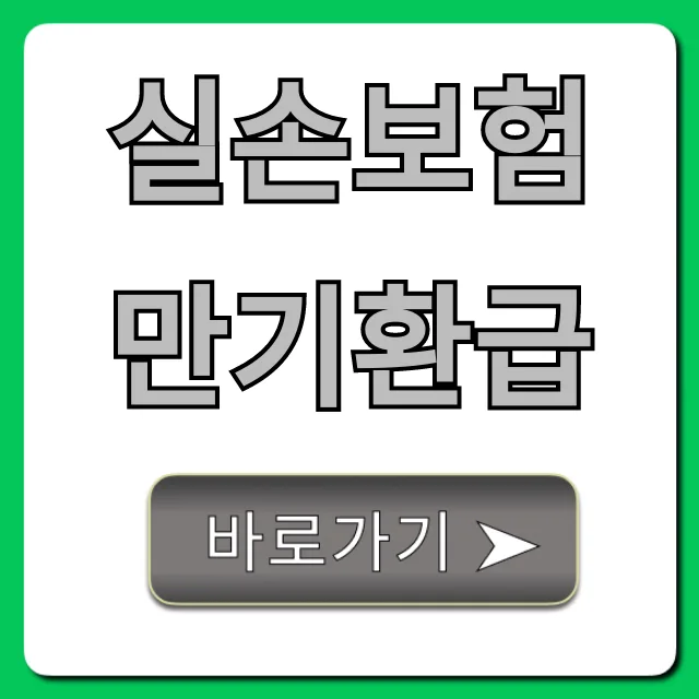 실손보험 만기환급, 2026년 기준 진실과 조회 방법 완벽 정리