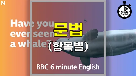 BBC 6분 영어: 고래 관찰의 모든 것 2026