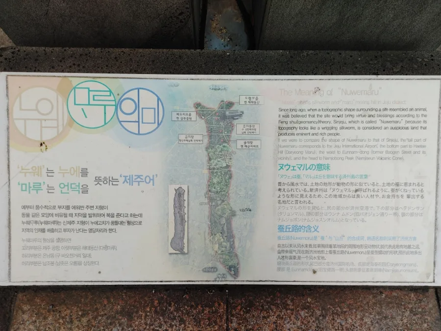 제주 누웨마루 거리 맛집 탐방 2026: 핵밥 일본 가정식 후기 3