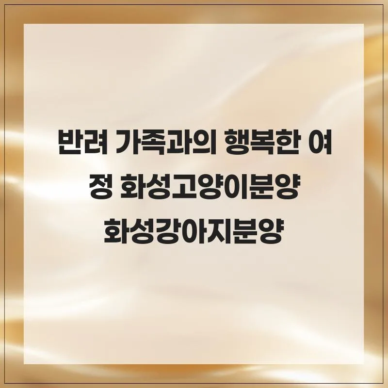 화성 고양이 분양 2026: 독스캣 안심 입양 절차 및 후기 3