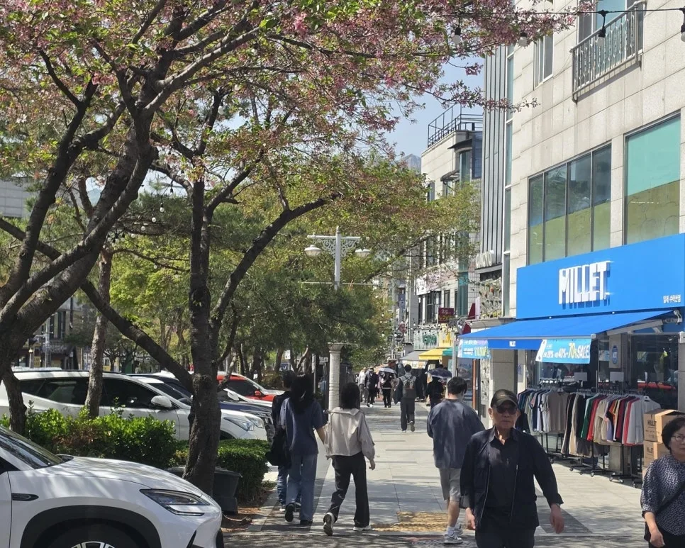 순댓국 창업 D-2: 개인 브랜드 공사 경험과 노포 감성 만들기 2026 2