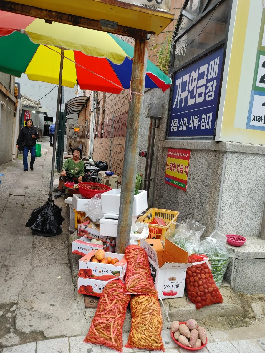 춘천 초가을 풍경과 일상: 동부시장부터 롯데마트까지 2026 3