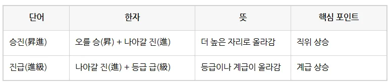 승진 vs 진급 차이점: 2026년 직위와 계급 구분 완벽 정리 3