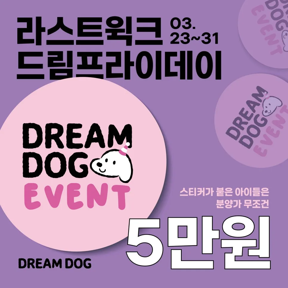반려견 5만원 분양, 드림독 인천점 특별 혜택 2026년 총정리 — 반려동물 — incheondreamdog
