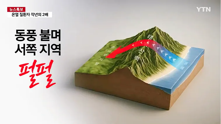 118년 만의 서울 폭염, 원인과 생존법 2026년 총정리 3