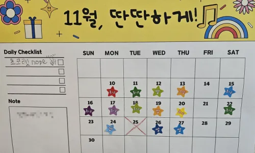 12월 식습관 점검: 초콜릿 줄이기 성공 비결 2026 2