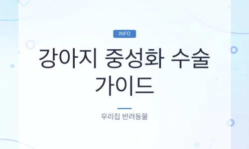 2026년 펫보험 비교: 메리츠·삼성·DB·KB, 우리 아이에게 맞는 보험은? 2