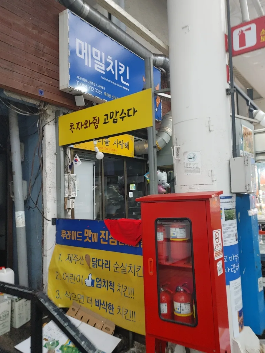 돈내코 원앙폭포 2026: 제주 힐링 산책 코스 및 입장료 총정리 3