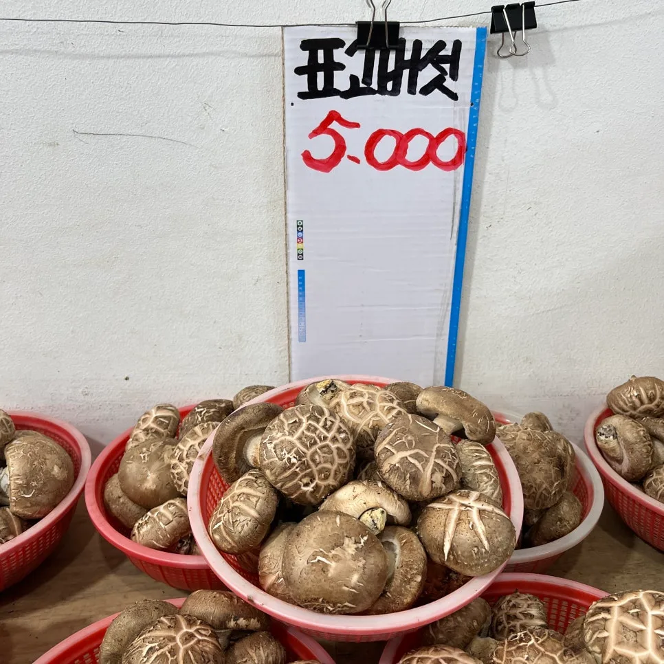 2026년 콩나물밥 황금 레시피: 초간단 밥솥 콩나물밥 만들기 3