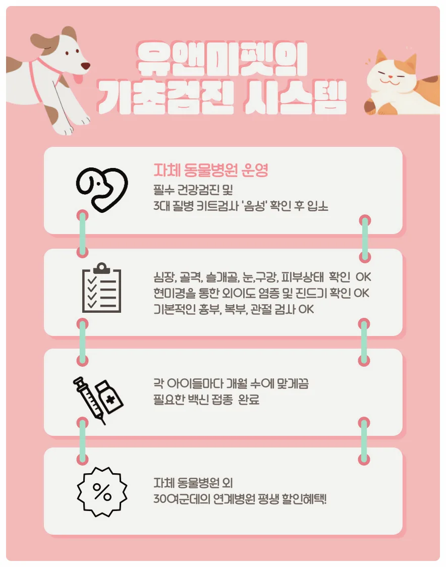 덕양구 말티푸 분양, 2026년 건강한 반려견 찾는 법 A to Z 3