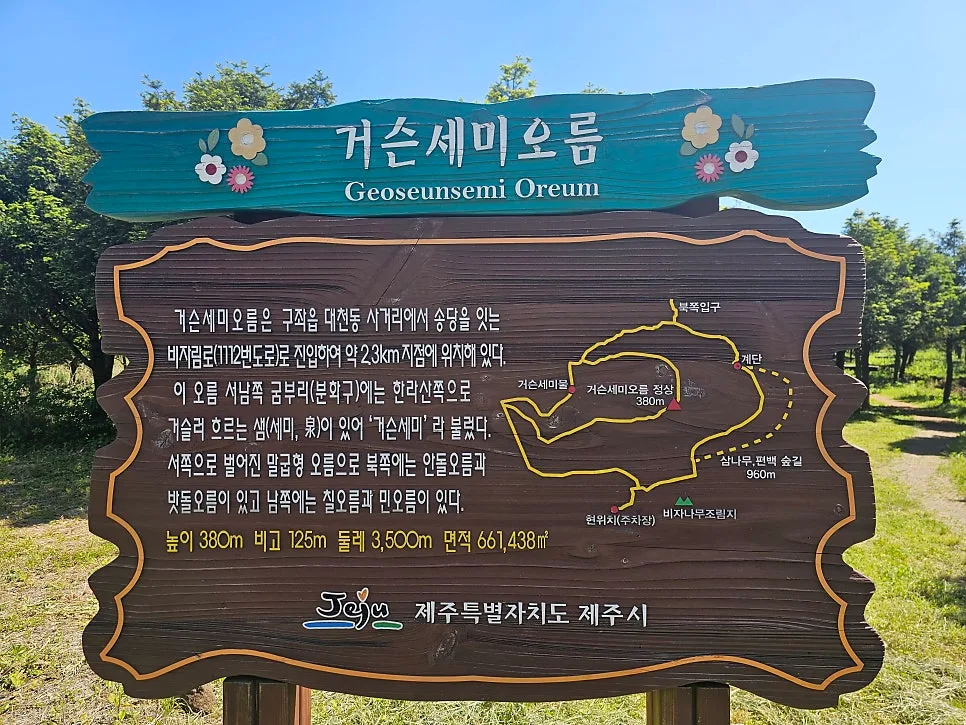 제주 거슨세미 오름 & 안도르 카페: 친구와 함께한 2026년 추억 여행