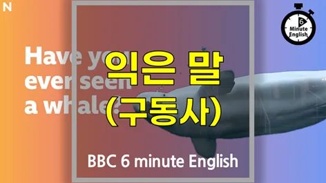 영어 숙어와 구동사: 고래 이야기로 배우는 2026년 최신 표현 — 어학·외국어 — softca