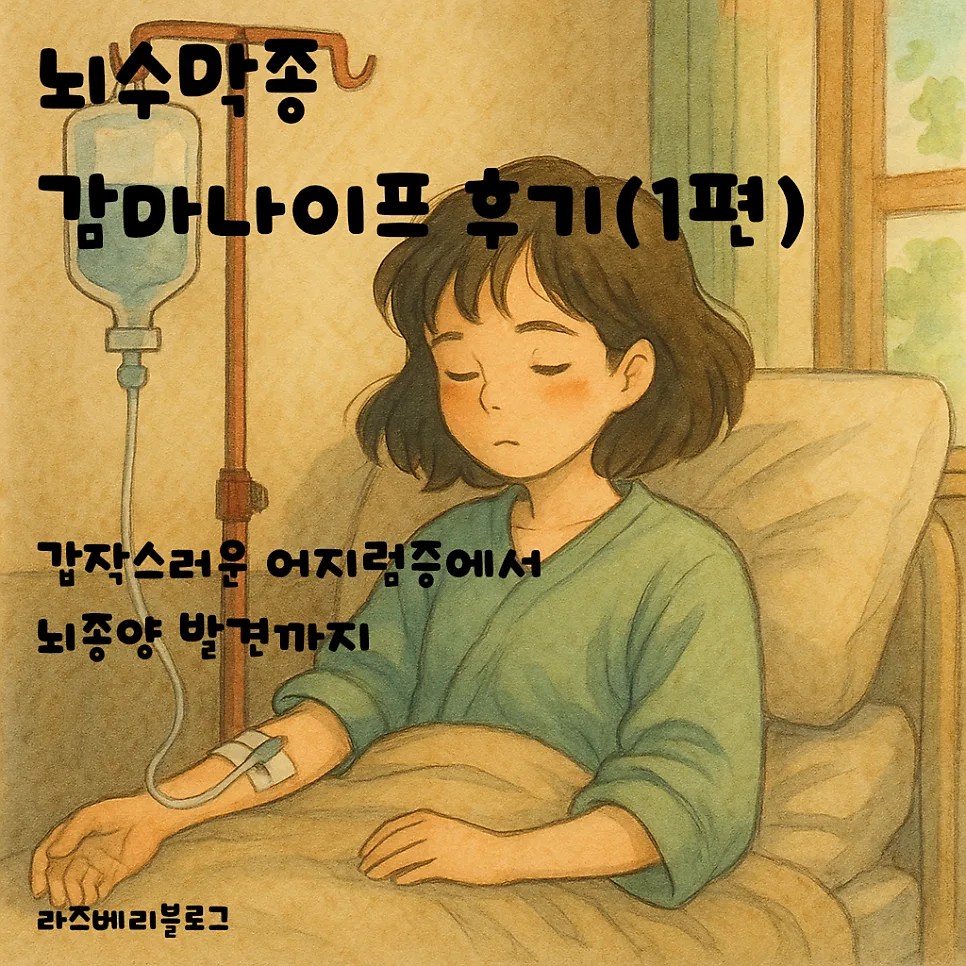 뇌수막종 감마나이프 수술 후기: 어지럼증 원인과 치료 과정 2026