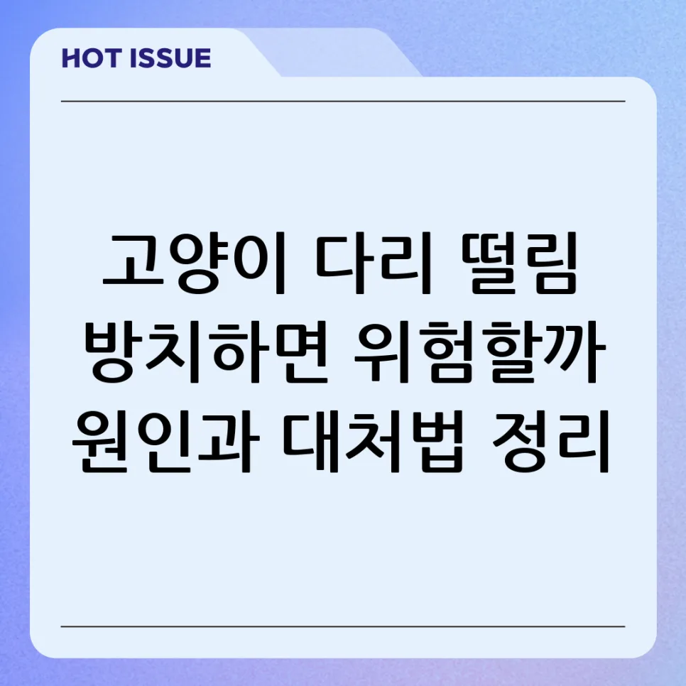 2026년 고양이 다리 경련 원인과 대처법: 병원 가야 할 때?