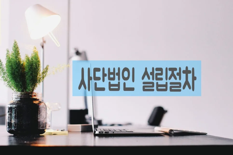 비영리사단법인 설립 허가기준 및 절차 완벽 분석 (2026) — 사회·시사 — 0413kgs