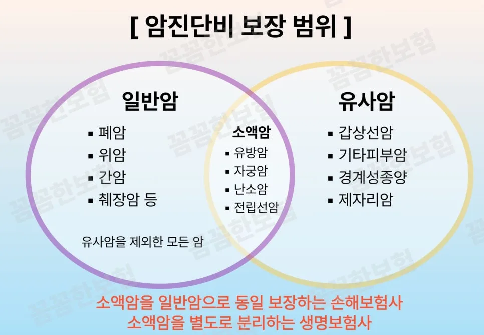 30대 3대 진단비 보험, 암 뇌 심장 질환 보장 2026년 최적 설계 3