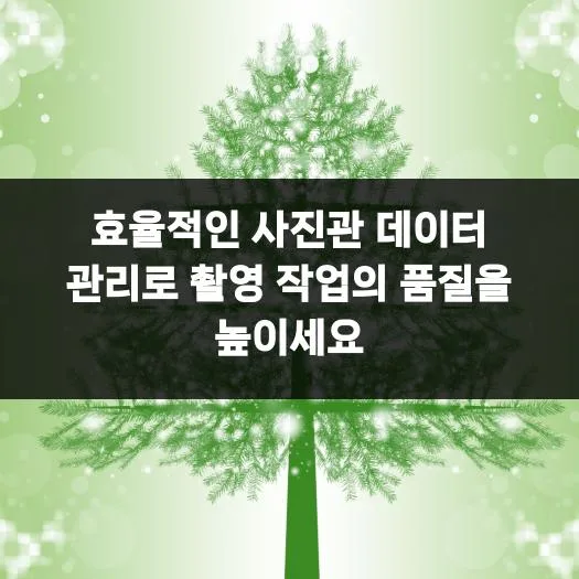 사진관 데이터 관리법 2026: 촬영 품질 높이는 실전 노하우 — 사진 — concert4949 1