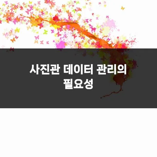 사진관 데이터 관리법 2026: 촬영 품질 높이는 실전 노하우 2