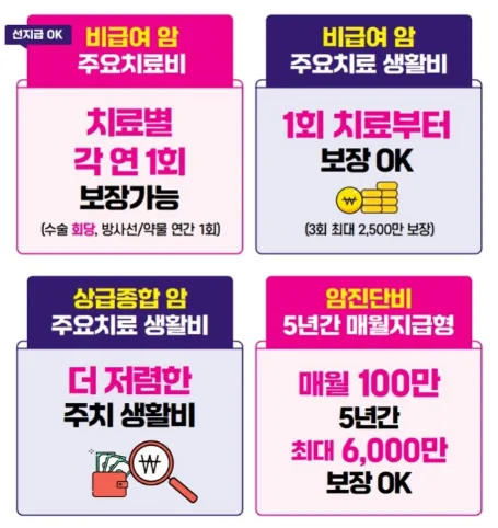 흥국화재 암 통합치료 플랜 2026: 보장 범위와 월지급형 비교 2