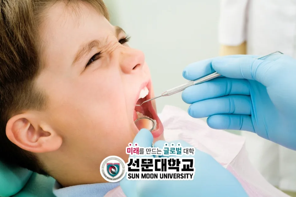 치위생사 대학 선택과 진로 가이드 2026: 합격률부터 취업까지 2