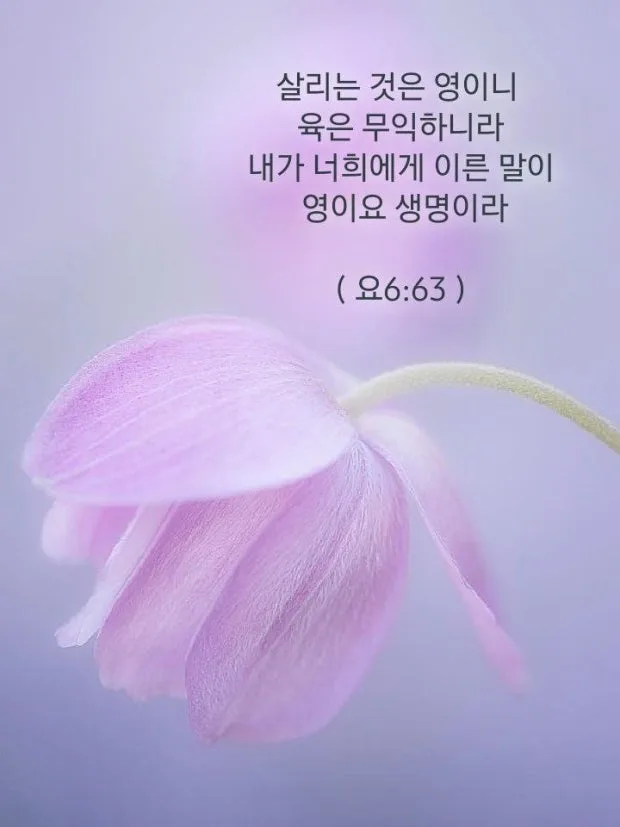 삶의 우선순위 재정립: 건강, 자산, 관계 2026년 로드맵 2