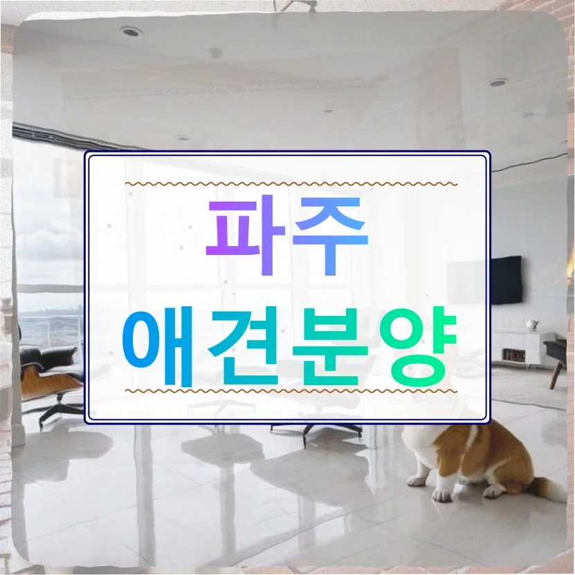 파주 애견분양 후기: 응급 상황 대처법과 현실적 준비 2026