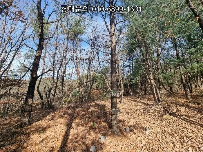 양주 장흥면 부곡리 토지, 2026년 개발 잠재력 높은 경매 물건 분석 3