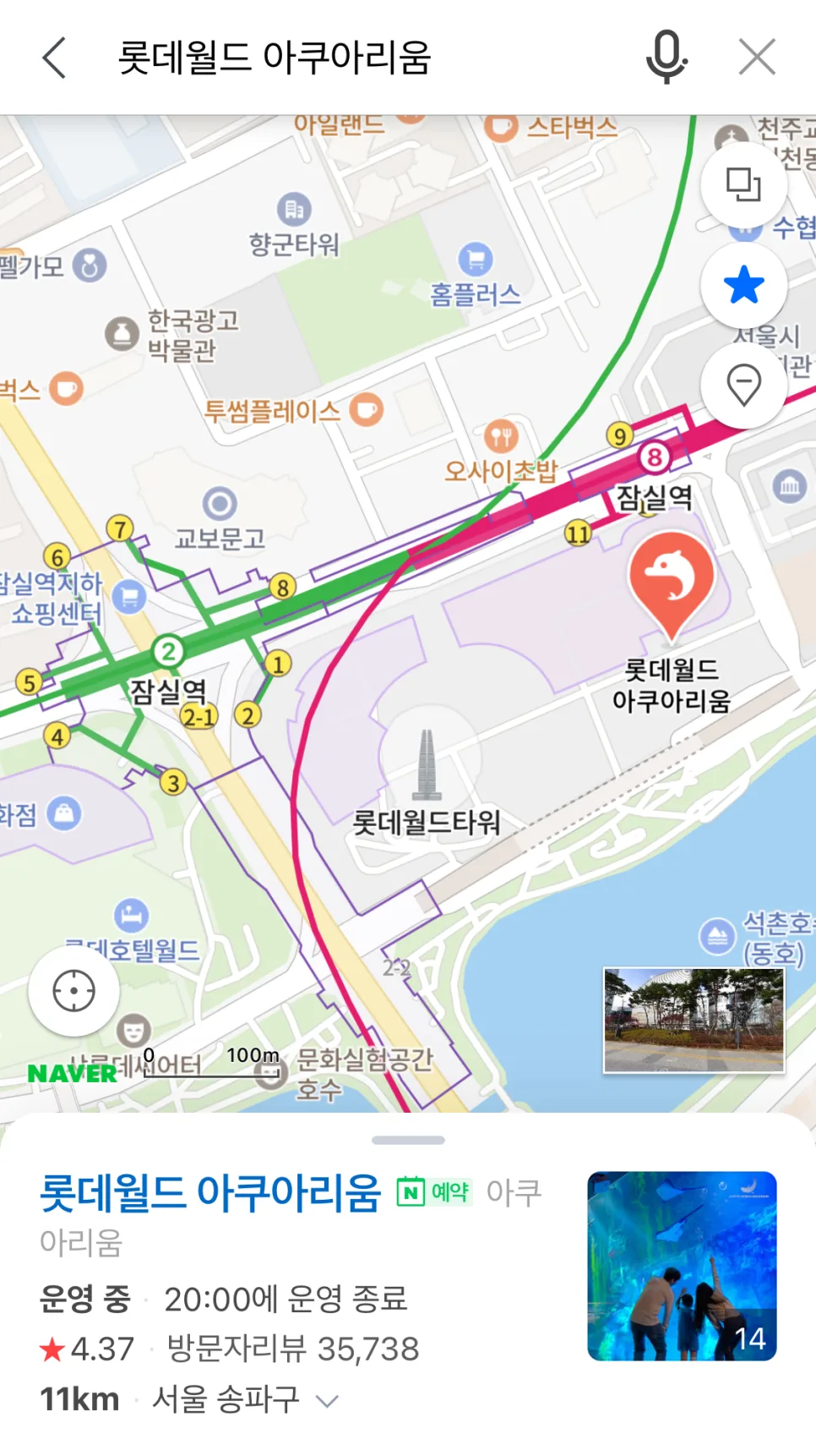 롯데월드 아쿠아리움 2026: 서울 실내 데이트 코스 추천 3