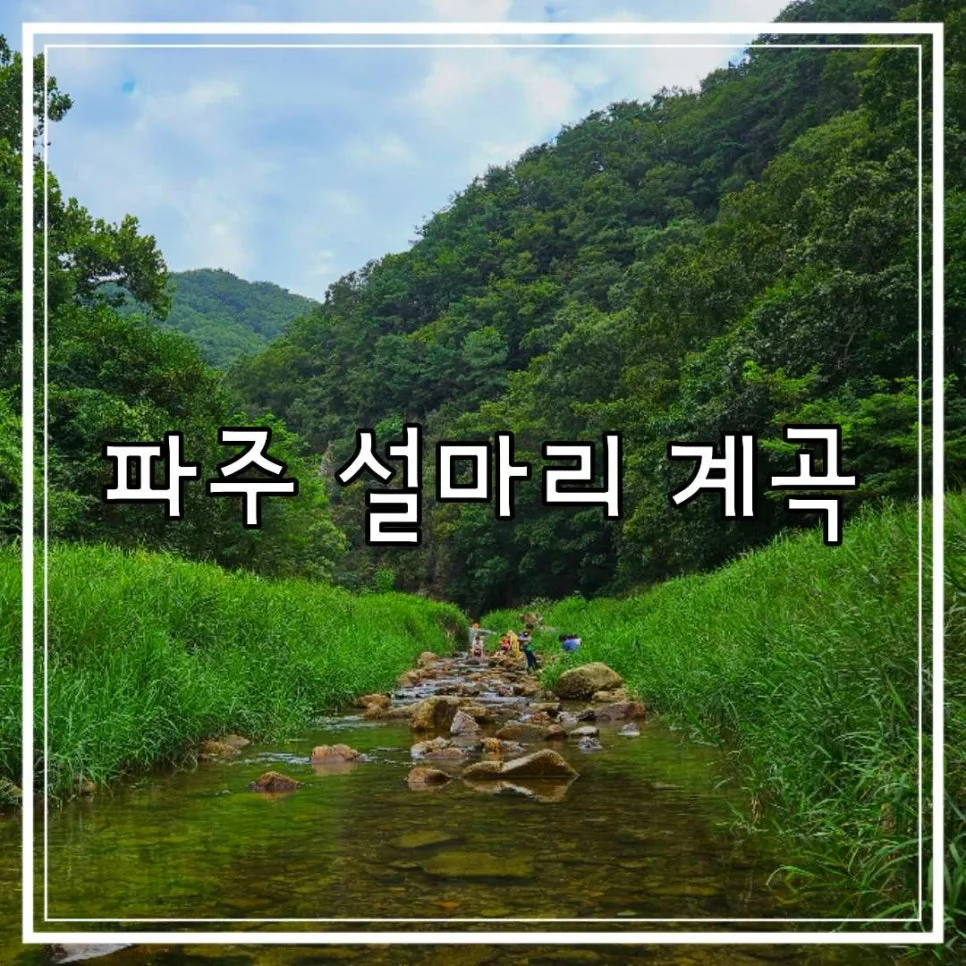 파주 설마리 계곡 당일치기 물놀이 완벽 가이드 2026 — 한국여행 — cpfmlfkrh