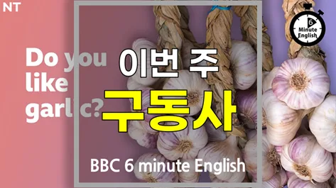 영어 구동사 마스터 2026: specialize in, find out 완벽 분석 — 어학·외국어 — softca