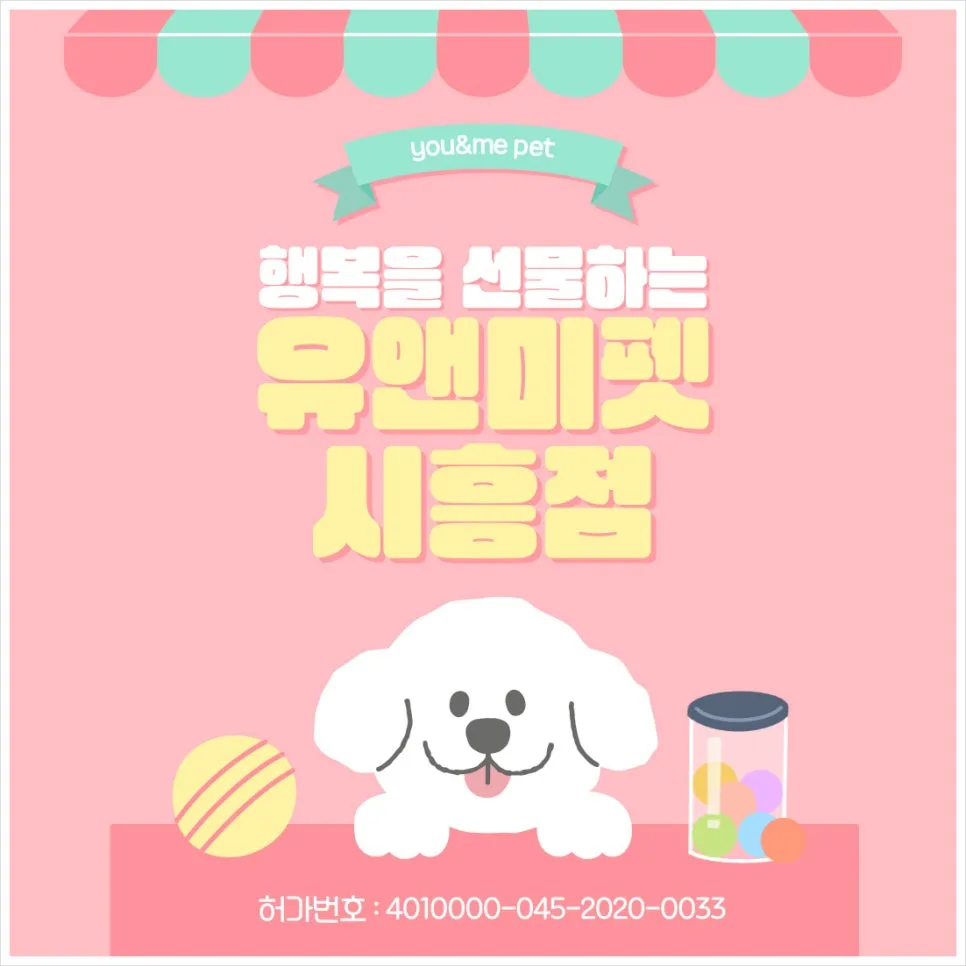 파주 랙돌 분양 2026: 유앤미펫 방문 후기 및 선택 가이드