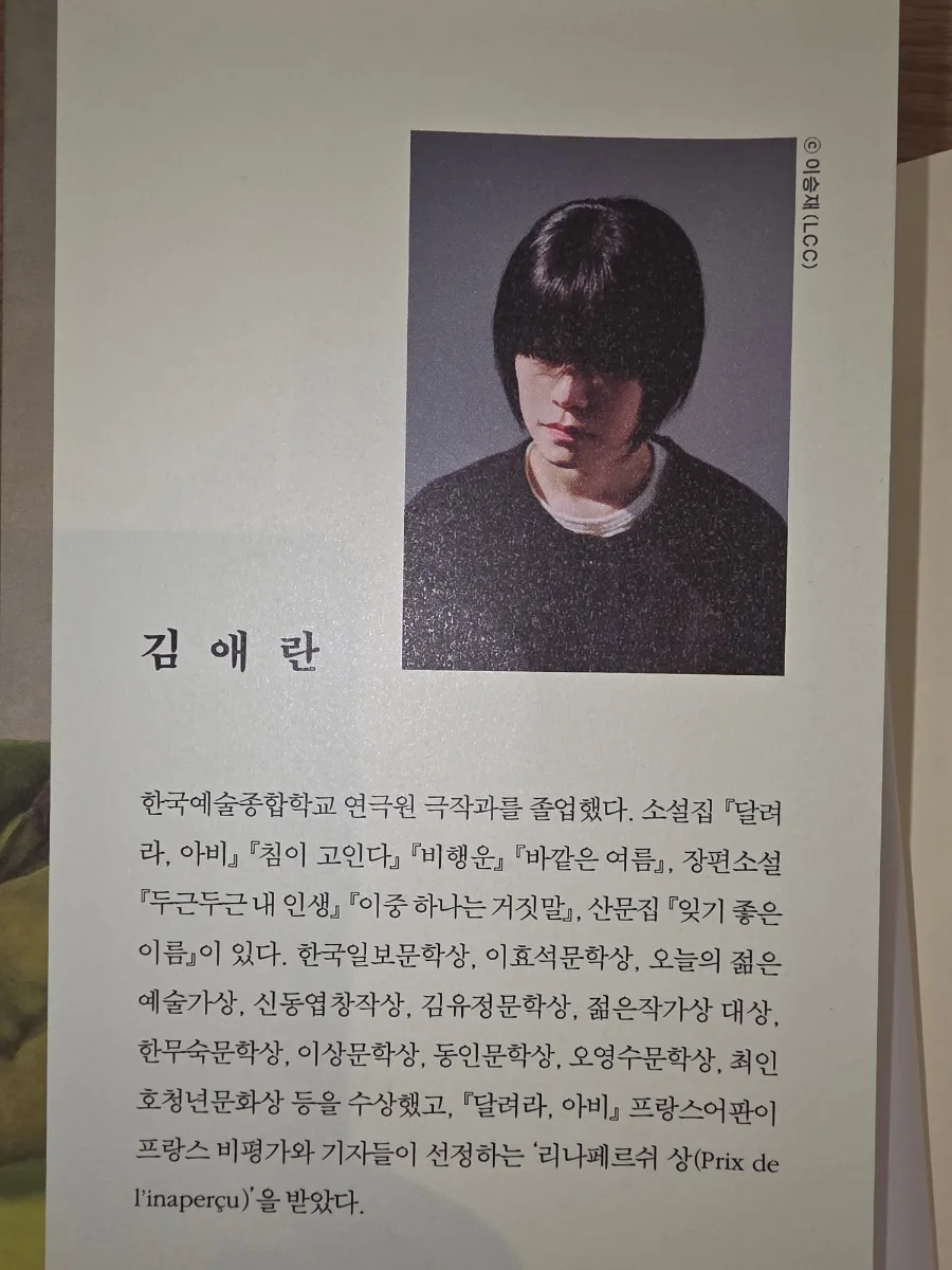 김애란 소설집 '안녕이라 그랬어' 2026년 완벽 분석 2
