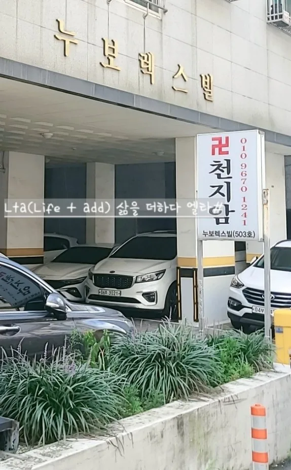 주안점집 천지암, 미래 예측 점사 후기 2026 3