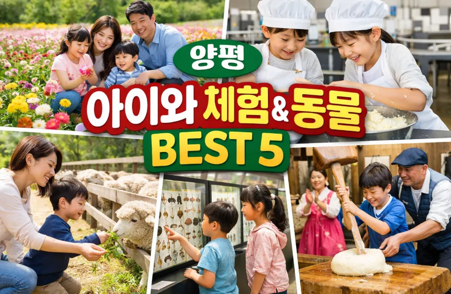 양평 아이와 가볼만한 곳 BEST 4: 양떼목장, 치즈체험 2026 — 한국여행 — i0865