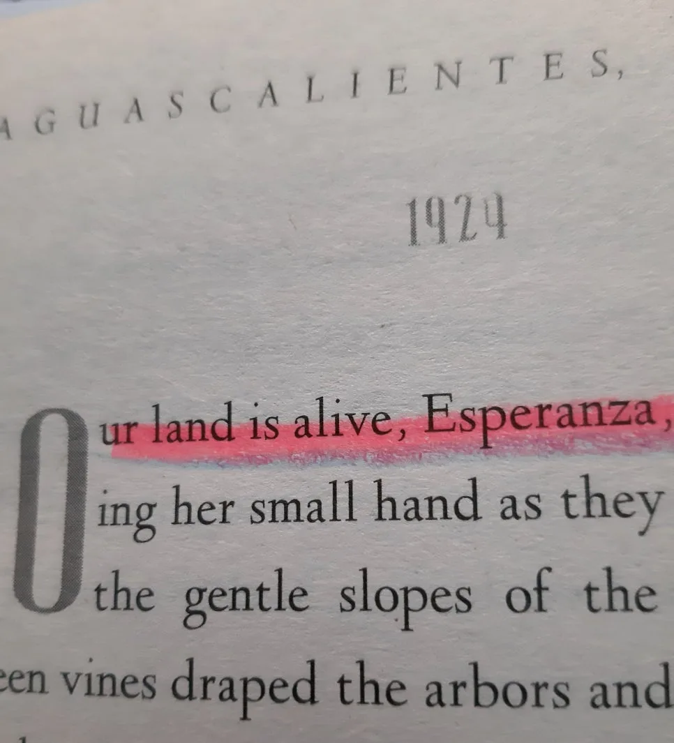 Esperanza Rising 영어원서: 2026년 초중고 필독 성장 스토리 분석 3