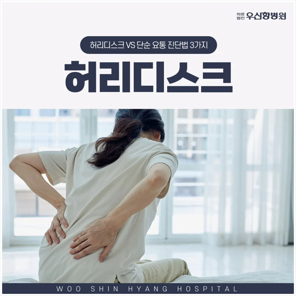 허리 숙일 때 통증, 디스크 vs 요통 구분법 2026년 총정리
