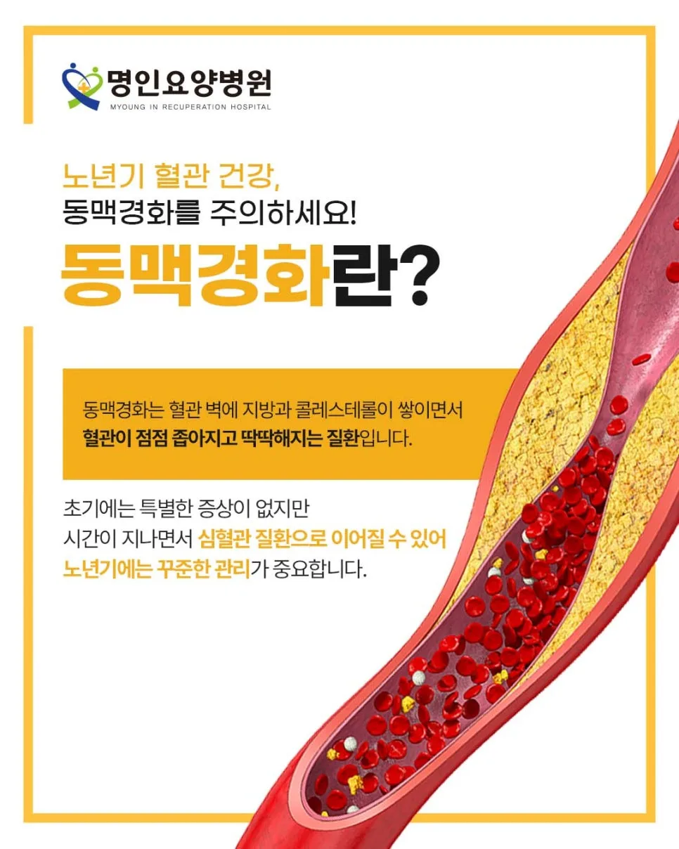 노년기 동맥경화 관리법 2026: 요양병원 전문가의 핵심 가이드 2