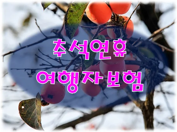 추석 여행자보험 2026: 간편 가입과 보장 내용 완벽 정리