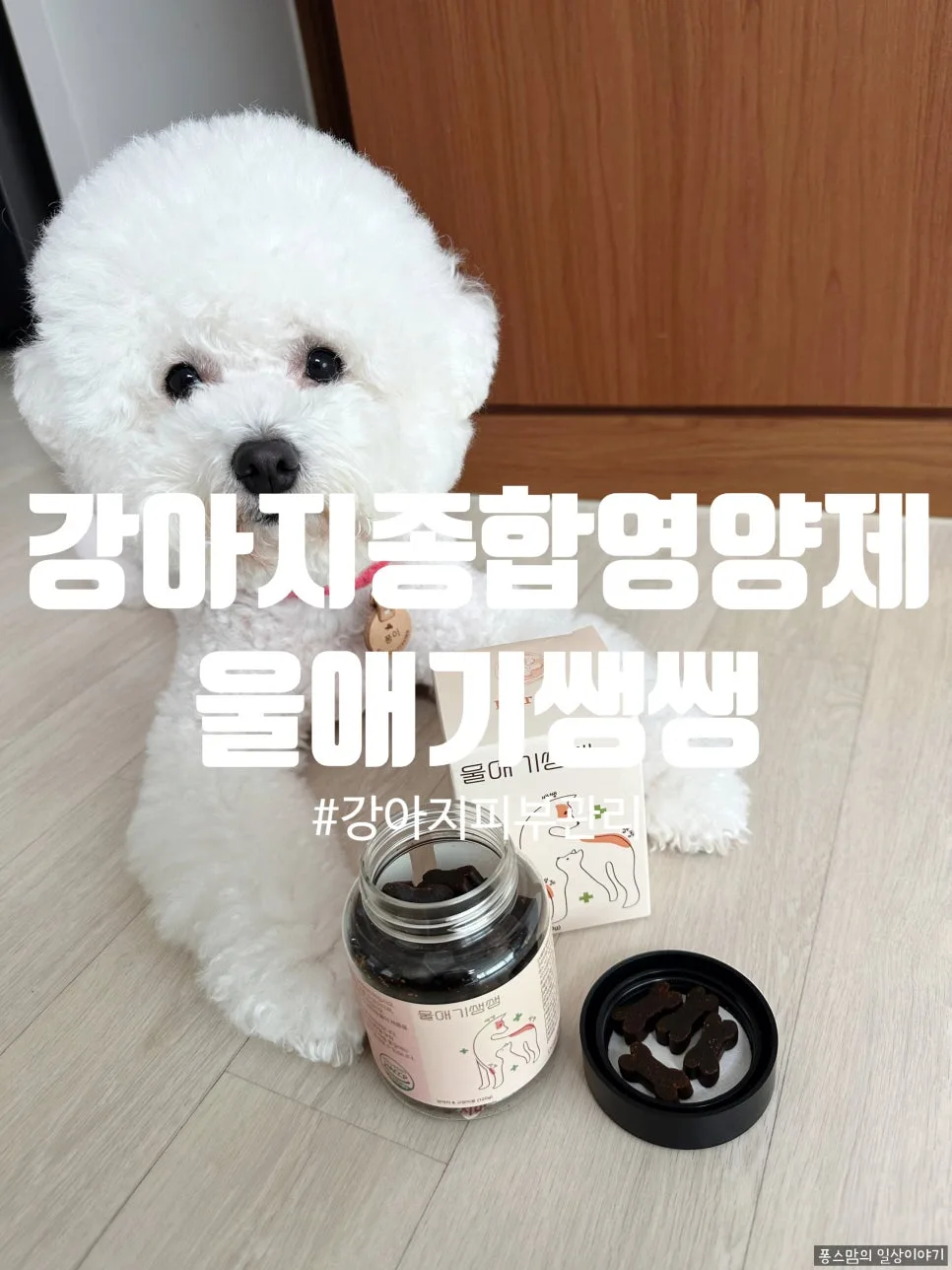 강아지 종합 영양제, 울애기쌩쌩으로 퐁이 관절/피부/눈 건강 챙기는 법 2026 2