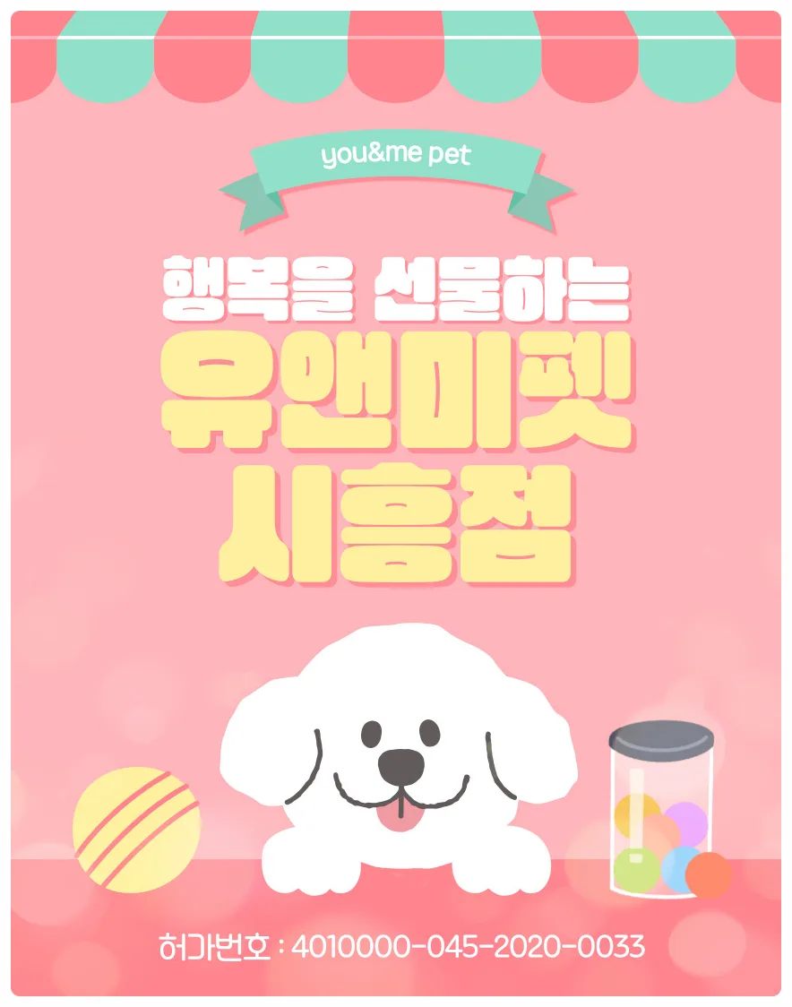 안양 말티푸 입양 2026: 유앤미펫 건강한 반려견 만난 후기