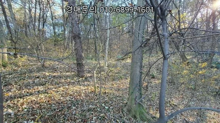 순천 근린시설 경매, 2026년 5월 26일 최저가 22.8억 투자 기회 분석 2
