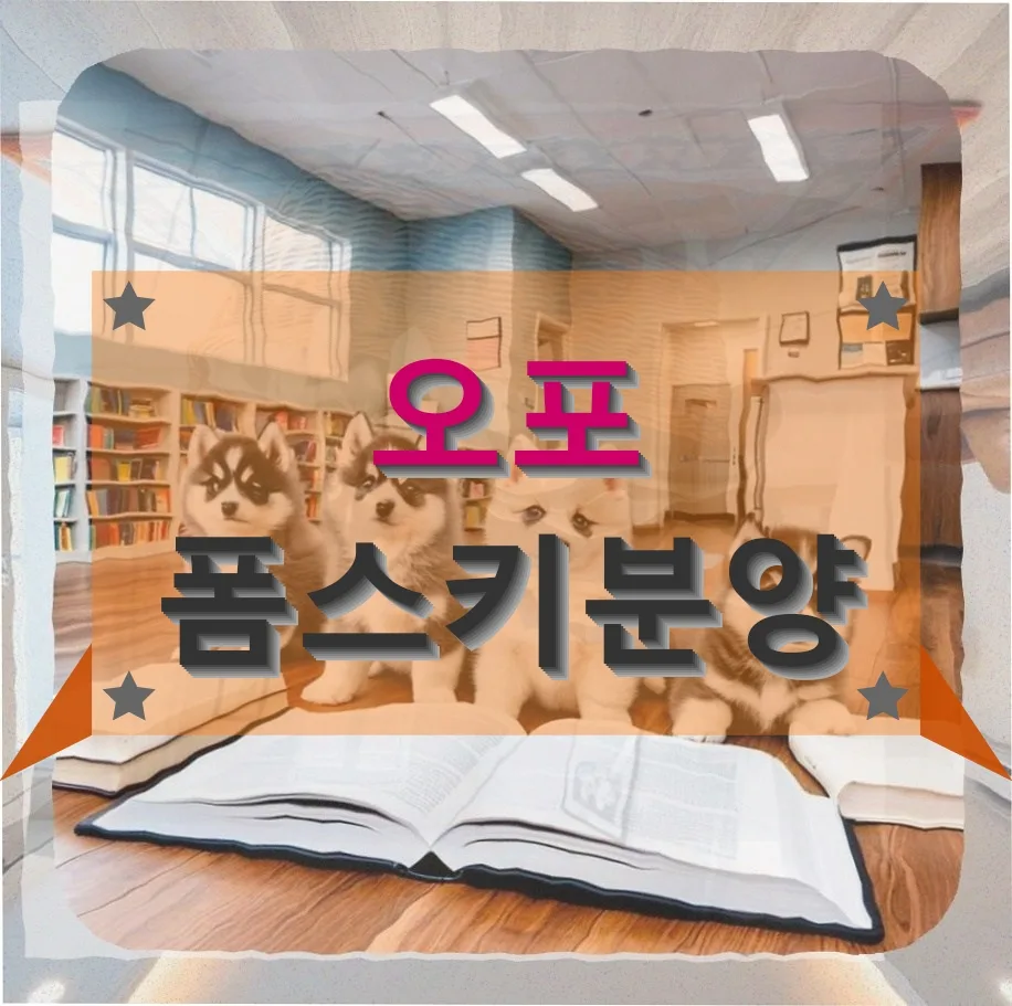오포 폼스키 털 날림 관리와 사회화 훈련, 경험자가 알려주는 꿀팁 — 반려동물 — accuse6616