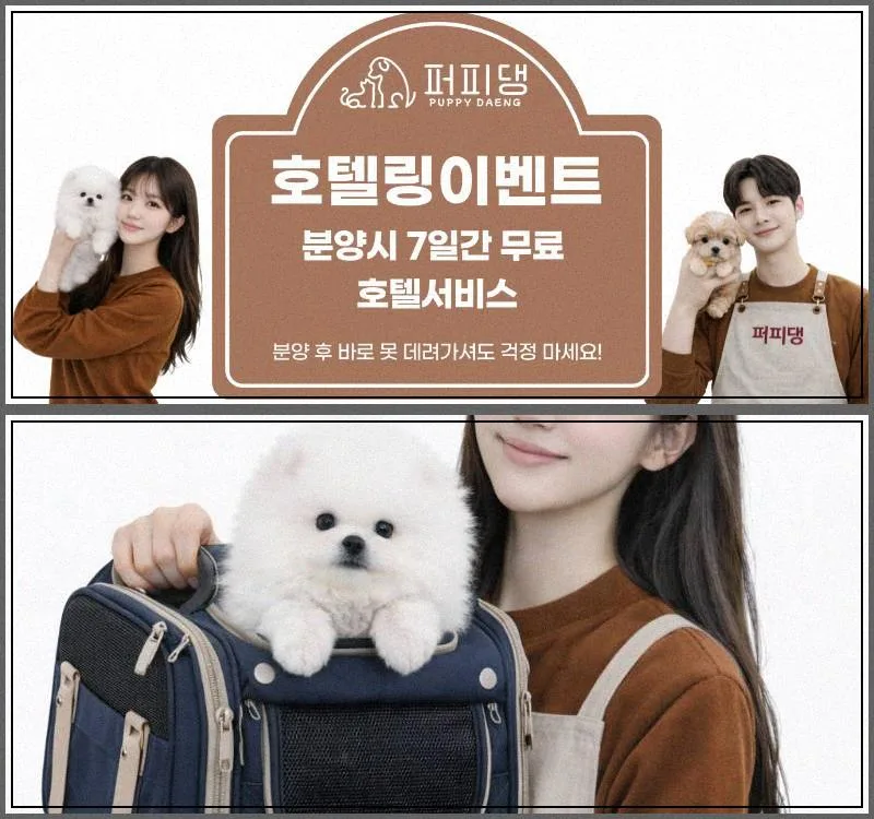 2026년 강아지 분양 완벽 가이드: 체형별 특징과 첫 병원 준비 2