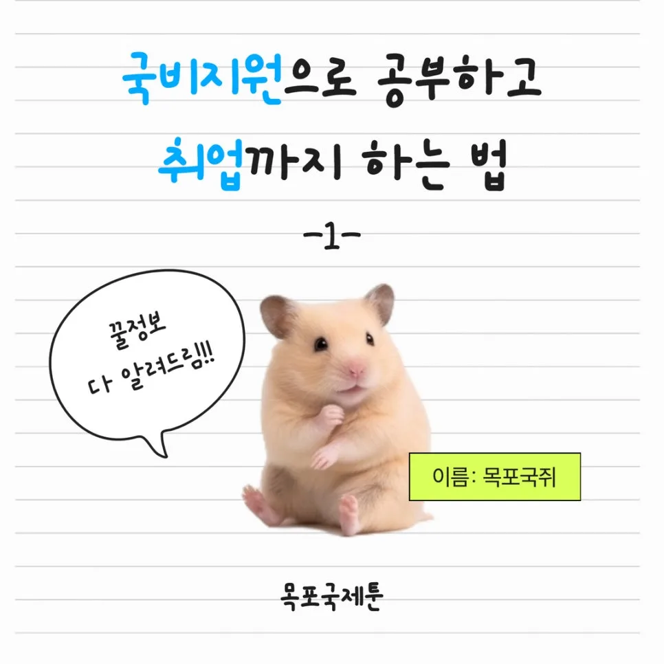 내일배움카드 활용법: 자격증 취득부터 취업 연계 2026 — 교육·학문 — mpkjca